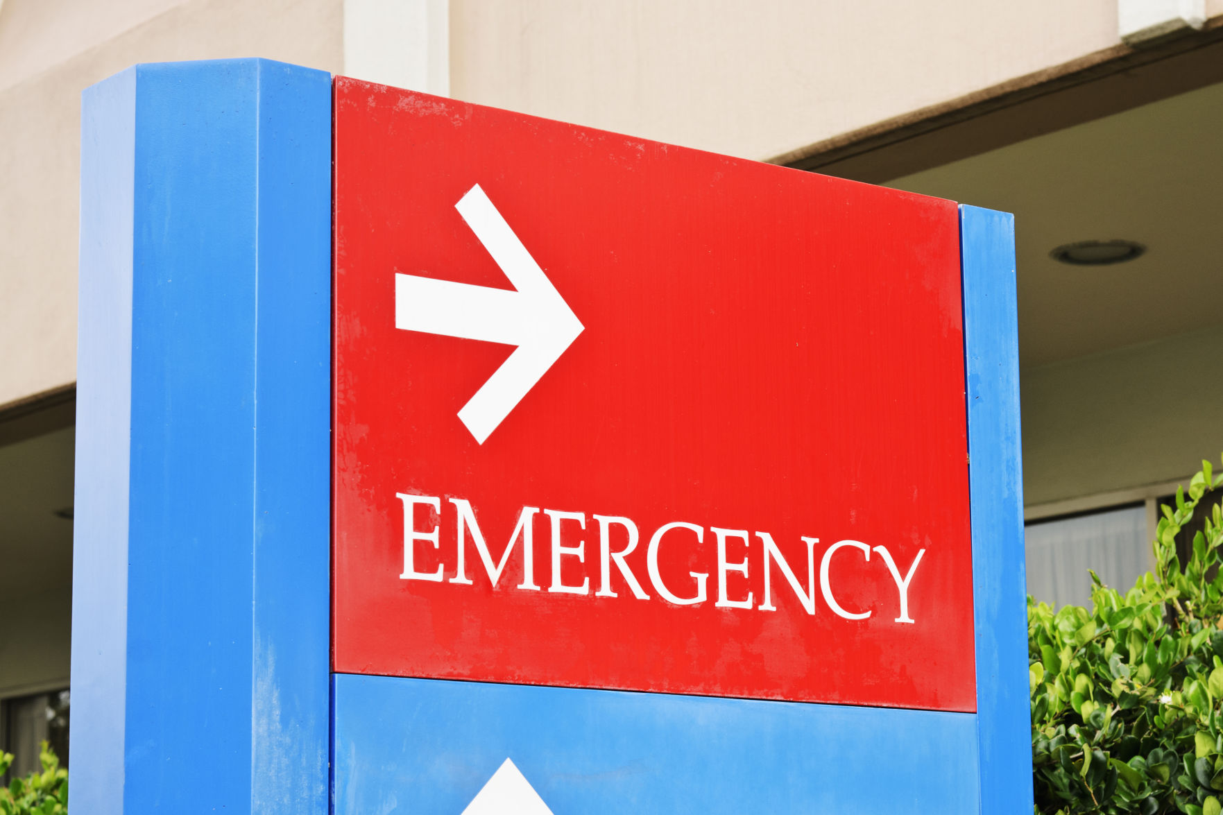 Emergency contact and insurance information